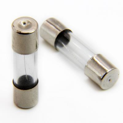 FUSE 3.6X10 1A WIRE