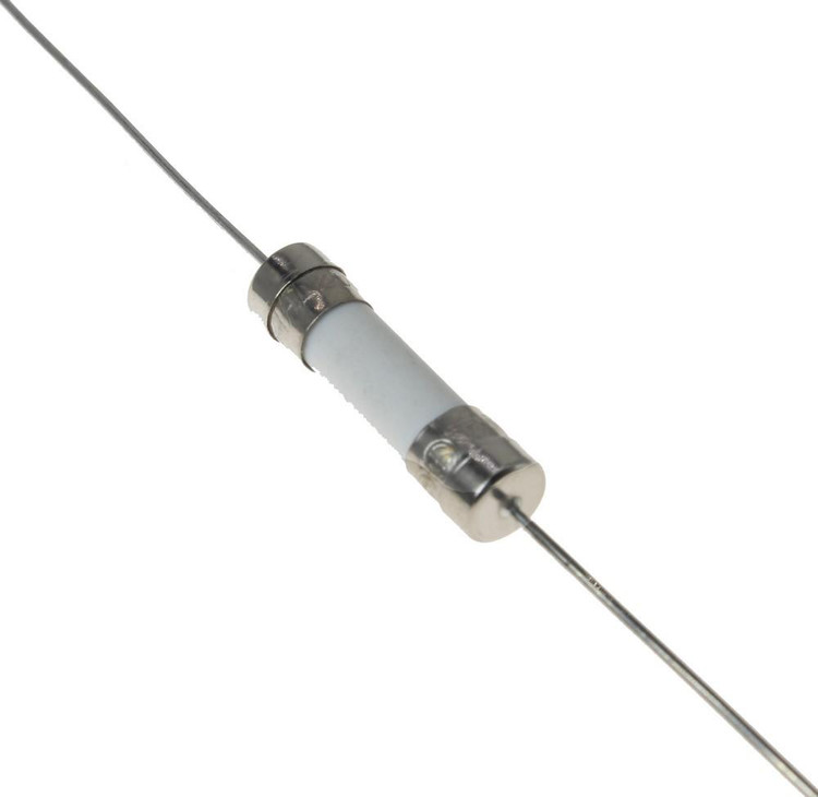 FUSE 5X20 1A SLOW